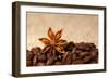 Coffee And Star Anise On Sackcloth Background With Copyspace-wasja-Framed Photographic Print