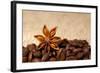 Coffee And Star Anise On Sackcloth Background With Copyspace-wasja-Framed Photographic Print