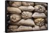 Coffee Bags. Monteverde. Costa Rica. Central America-Tom Norring-Framed Stretched Canvas