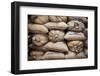 Coffee Bags. Monteverde. Costa Rica. Central America-Tom Norring-Framed Photographic Print