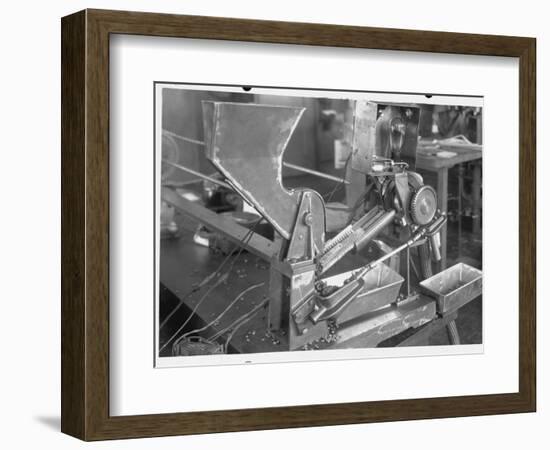 Coffee Bean Sorting Machine-null-Framed Photographic Print