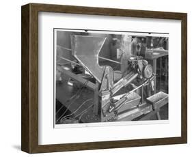 Coffee Bean Sorting Machine-null-Framed Photographic Print