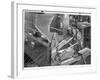 Coffee Bean Sorting Machine-null-Framed Photographic Print