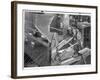 Coffee Bean Sorting Machine-null-Framed Photographic Print