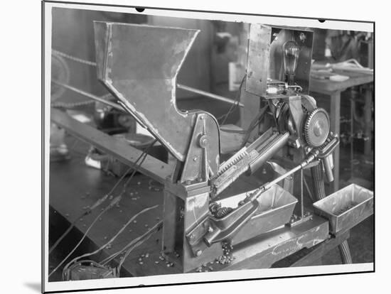 Coffee Bean Sorting Machine-null-Mounted Photographic Print