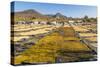 Coffee Beans Drying in the Sun in the Important Growing Region around This Northern City-Rob Francis-Stretched Canvas