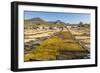 Coffee Beans Drying in the Sun in the Important Growing Region around This Northern City-Rob Francis-Framed Photographic Print