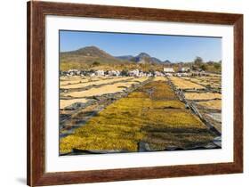 Coffee Beans Drying in the Sun in the Important Growing Region around This Northern City-Rob Francis-Framed Photographic Print