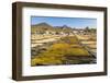 Coffee Beans Drying in the Sun in the Important Growing Region around This Northern City-Rob Francis-Framed Photographic Print