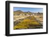 Coffee Beans Drying in the Sun in the Important Growing Region around This Northern City-Rob Francis-Framed Photographic Print