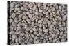 Coffee Beans Drying-Paul Souders-Stretched Canvas