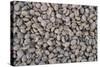 Coffee Beans Drying-Paul Souders-Stretched Canvas