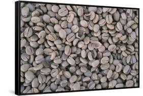 Coffee Beans Drying-Paul Souders-Framed Stretched Canvas