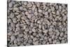 Coffee Beans Drying-Paul Souders-Stretched Canvas