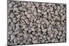 Coffee Beans Drying-Paul Souders-Mounted Premium Photographic Print