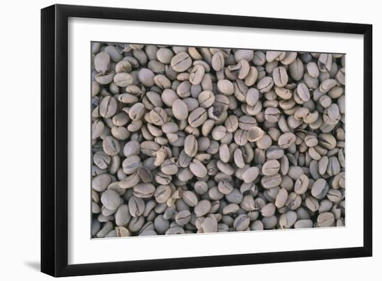 Coffee Beans Drying-Paul Souders-Framed Photographic Print