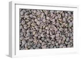 Coffee Beans Drying-Paul Souders-Framed Photographic Print