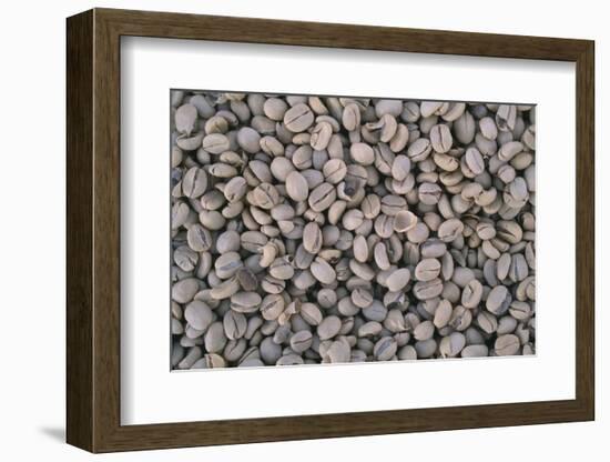 Coffee Beans Drying-Paul Souders-Framed Photographic Print