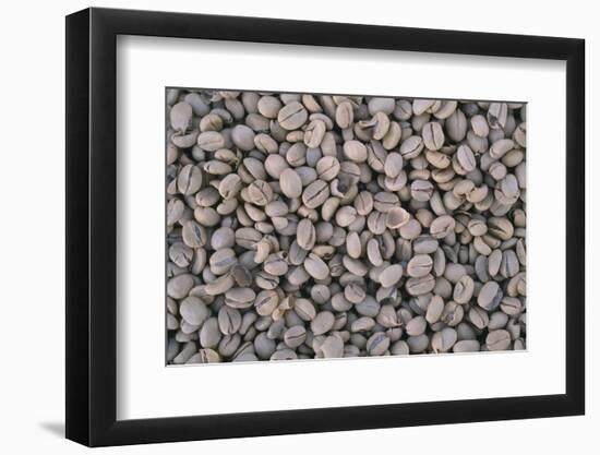 Coffee Beans Drying-Paul Souders-Framed Photographic Print