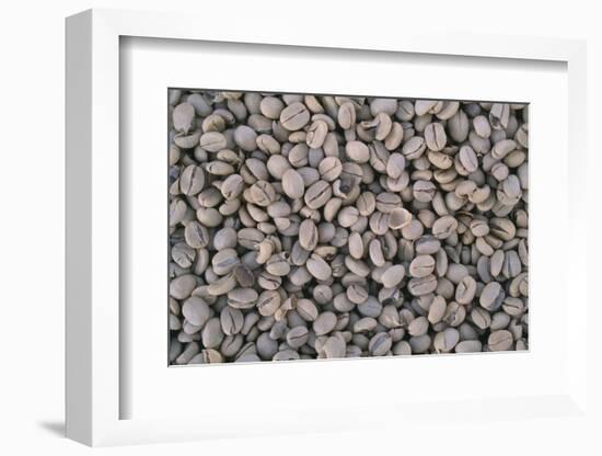 Coffee Beans Drying-Paul Souders-Framed Photographic Print