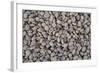 Coffee Beans Drying-Paul Souders-Framed Photographic Print