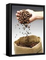 Coffee Beans Falling from Someone's Hand into a Sack-Gustavo Andrade-Framed Stretched Canvas