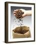 Coffee Beans Falling from Someone's Hand into a Sack-Gustavo Andrade-Framed Photographic Print