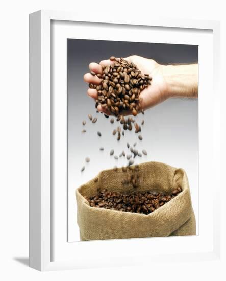 Coffee Beans Falling from Someone's Hand into a Sack-Gustavo Andrade-Framed Photographic Print