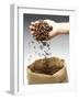 Coffee Beans Falling from Someone's Hand into a Sack-Gustavo Andrade-Framed Photographic Print