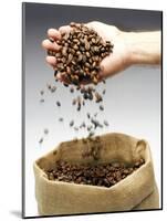 Coffee Beans Falling from Someone's Hand into a Sack-Gustavo Andrade-Mounted Photographic Print