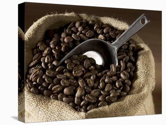 Coffee Beans in a Jute Sack-Jean-Michel Georges-Stretched Canvas