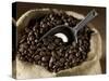 Coffee Beans in a Jute Sack-Jean-Michel Georges-Stretched Canvas