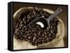 Coffee Beans in a Jute Sack-Jean-Michel Georges-Framed Stretched Canvas