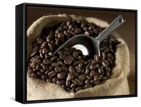 Coffee Beans in a Jute Sack-Jean-Michel Georges-Framed Stretched Canvas