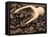 Coffee Beans in a Scoop-Steven Morris-Framed Stretched Canvas