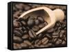 Coffee Beans in a Scoop-Steven Morris-Framed Stretched Canvas