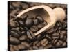 Coffee Beans in a Scoop-Steven Morris-Stretched Canvas