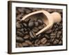 Coffee Beans in a Scoop-Steven Morris-Framed Photographic Print