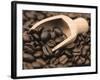 Coffee Beans in a Scoop-Steven Morris-Framed Photographic Print