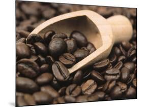 Coffee Beans in a Scoop-Steven Morris-Mounted Photographic Print