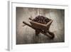 Coffee Beans In A Wheelbarrow-kbuntu-Framed Art Print