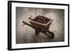 Coffee Beans In A Wheelbarrow-kbuntu-Framed Art Print