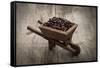 Coffee Beans In A Wheelbarrow-kbuntu-Framed Stretched Canvas