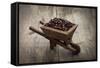 Coffee Beans In A Wheelbarrow-kbuntu-Framed Stretched Canvas