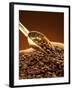 Coffee Beans in Sack and in Golden Scoop-Vladimir Shulevsky-Framed Photographic Print