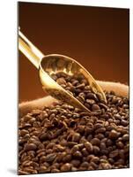 Coffee Beans in Sack and in Golden Scoop-Vladimir Shulevsky-Mounted Photographic Print