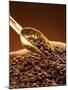 Coffee Beans in Sack and in Golden Scoop-Vladimir Shulevsky-Mounted Photographic Print