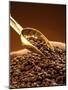 Coffee Beans in Sack and in Golden Scoop-Vladimir Shulevsky-Mounted Photographic Print