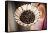 Coffee Beans, Omo Valley, Ethiopia, Africa-Ben Pipe-Framed Stretched Canvas