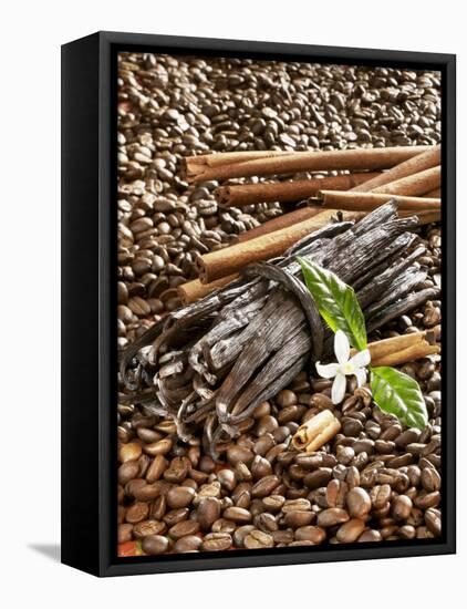 Coffee Beans, Vanilla Pods and Cinnamon Sticks-Karl Newedel-Framed Stretched Canvas